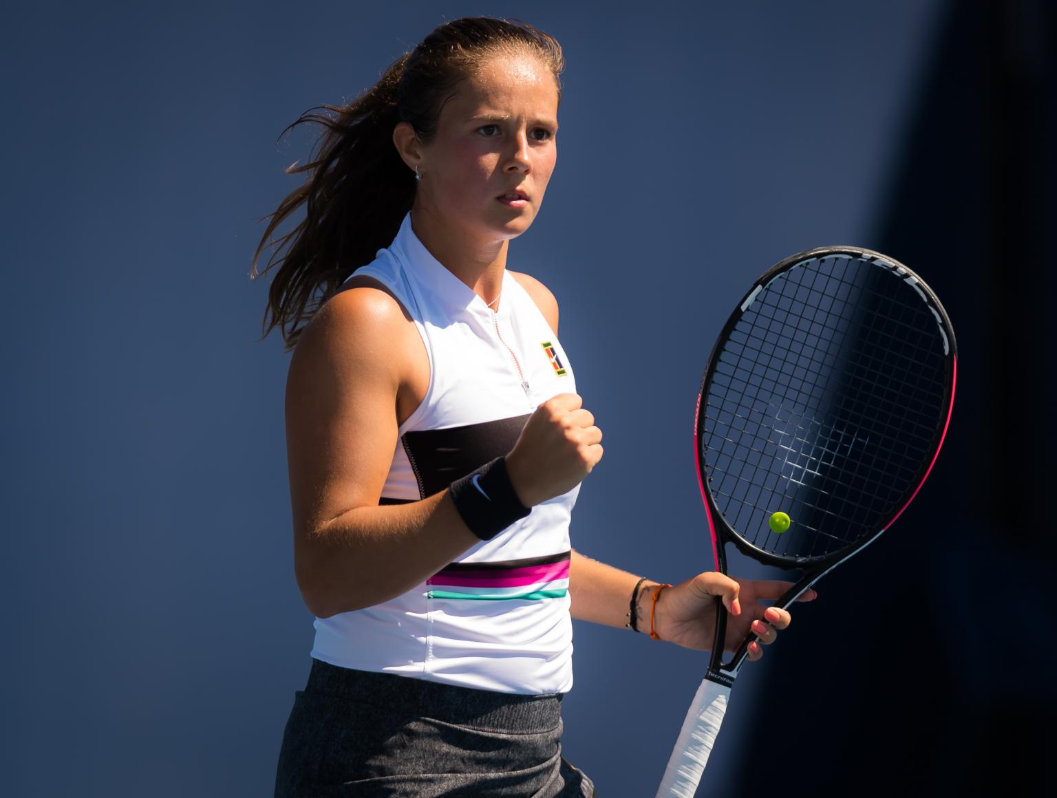 纳辛奈科斯 纳辛奈科斯