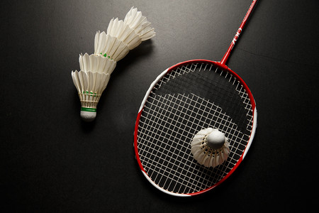 性的表达 性的表达